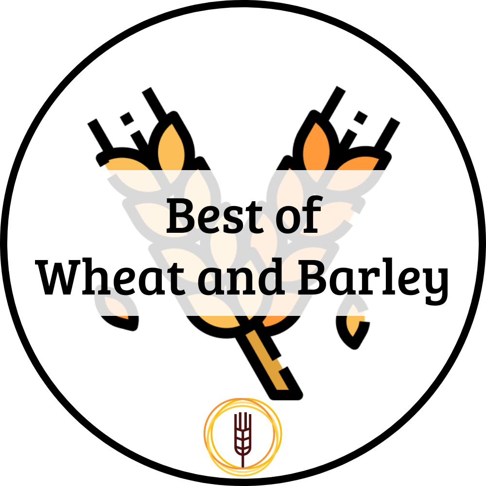 Best Wheat Barley