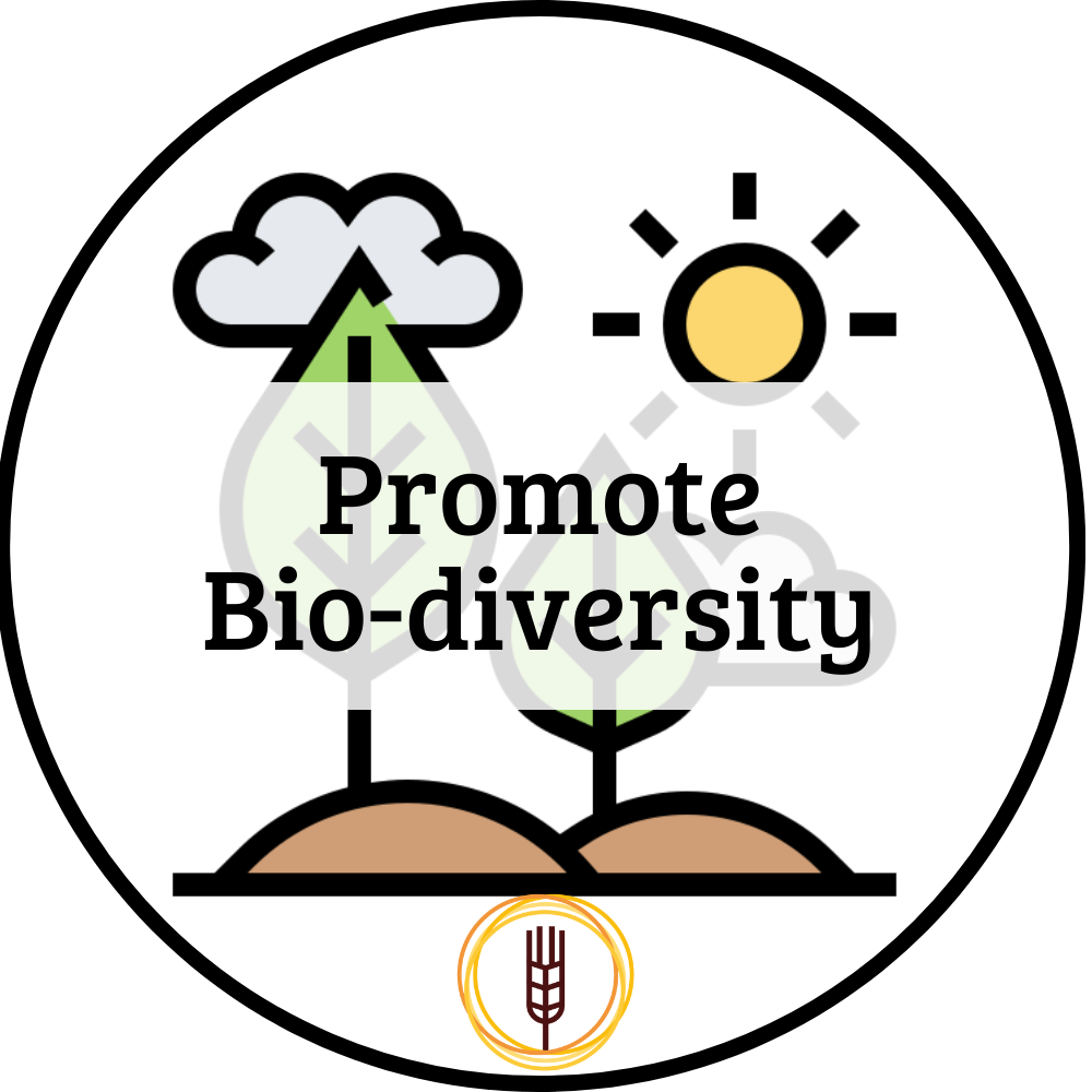 Bio Diversity