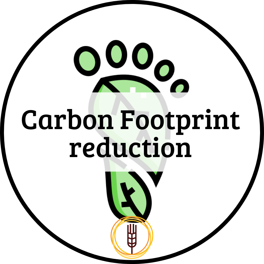 Carbon footprint