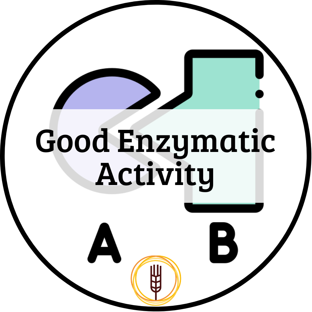 Enzyme activity