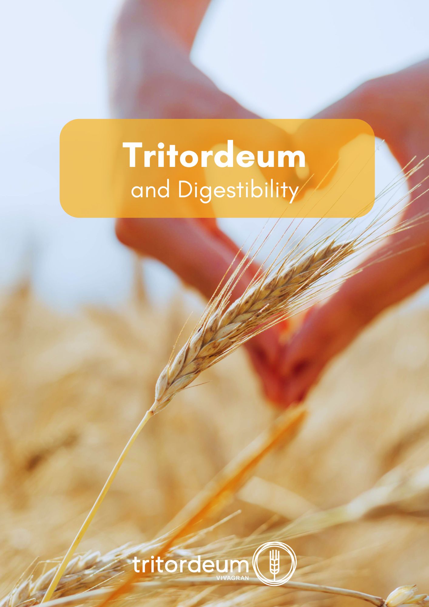 Dossier Tritordeum vs Digestibility