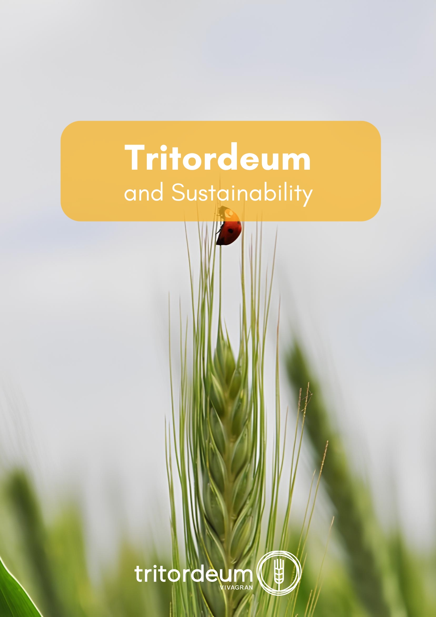 Dossier Tritordeum vs Sustainability