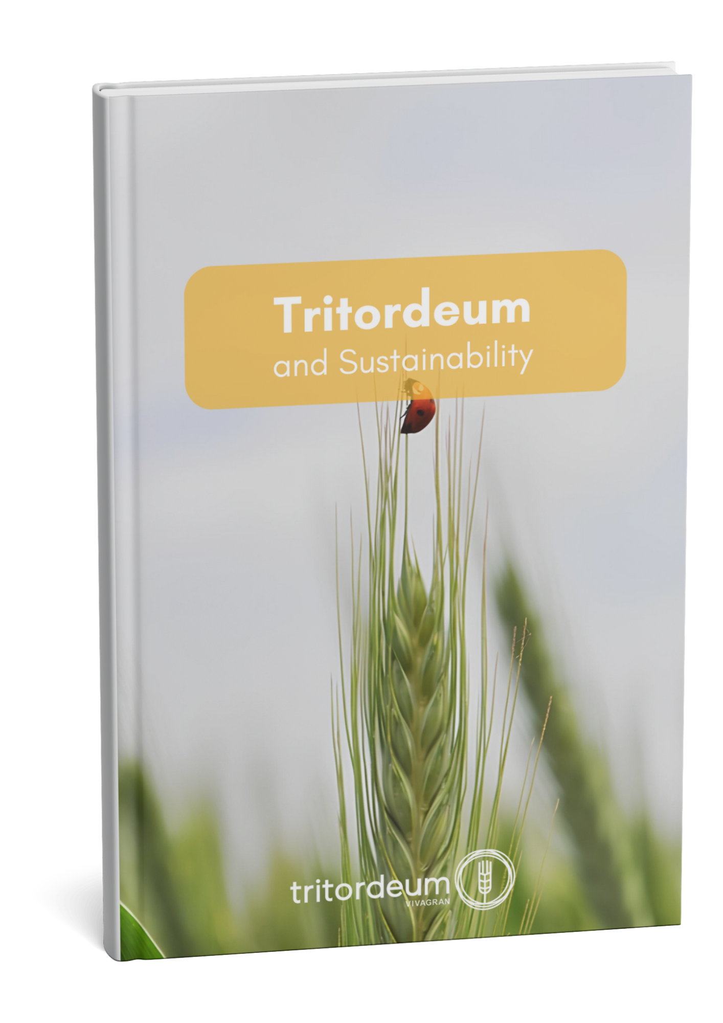 Tritordeum and Sustainability Cover