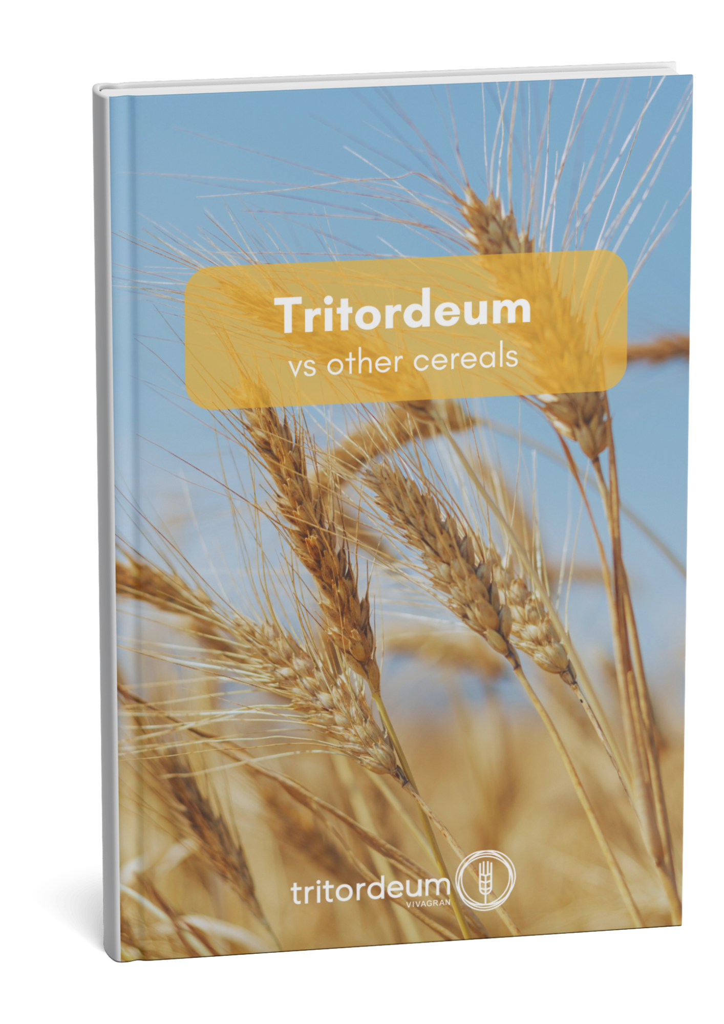 Tritordeum vs Other Cereals Cover