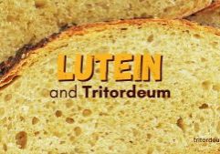 Lutein